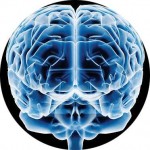 "El cerebro y el sexo" de sabercurioso.com