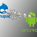 Cómo crear un Servicio Web en Drupal para consumir en Android