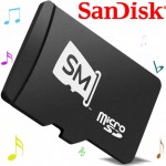 Vinilos, cassettes, Compact Disc y ahora… SlotMusic